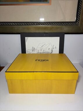 Fendi Roma Empty Sneakers Large Box